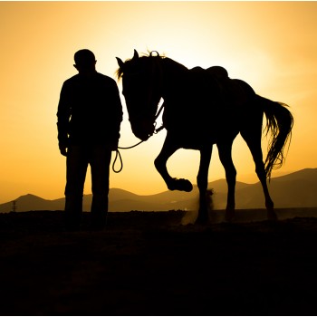 Kapadokya-Yılkı Atları-Ihlara Vadisi ve Tuz Gölü Fotoğraf Gezisi (07-08 Mart 2020)