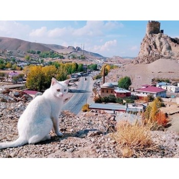 VAN--DOĞUBEYAZIT-MURADİYE FOTOĞRAF TURU (18-20 OCAK 2020)