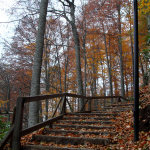 Düzce Şelaleleri Fotoğraf Gezisi (13 Kasım 2022) Düzce Şelaleleri Fotoğraf Gezisi (13 Kasım 2022)