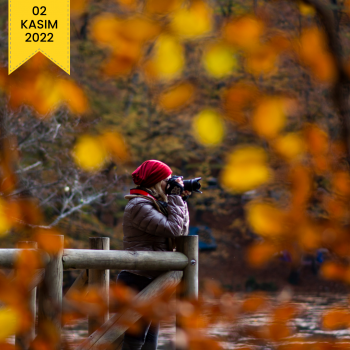 Yedigöller Fotoğraf Gezisi (02 Kasım 2022)